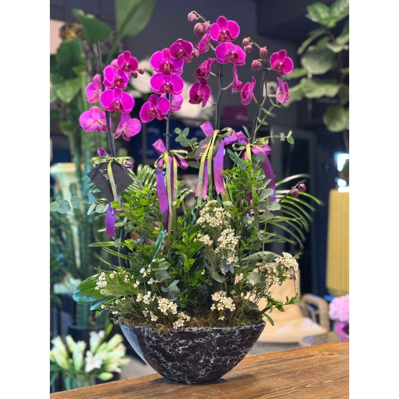4 DALLI MOR ORKİDE ARANJMAN