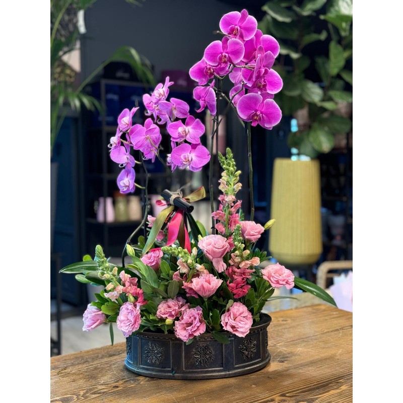 4 DALLI PEMBE ORKİDE ARAJMANI