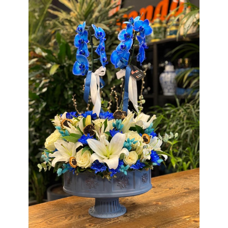 ÇİFT DALLI MAVİ ORKİDE ARAJMANI