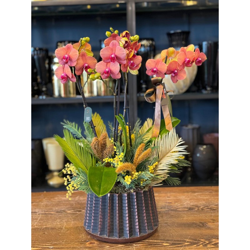 4 DALLI TURUNCU ORKİDE ARAJMANI