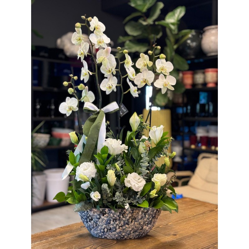 6 DALLI BEYAZ ORKİDE ARAJMANI