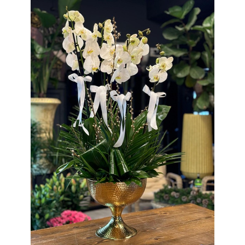 4 DALLI BEYAZ ORKİDE ARAJMANI