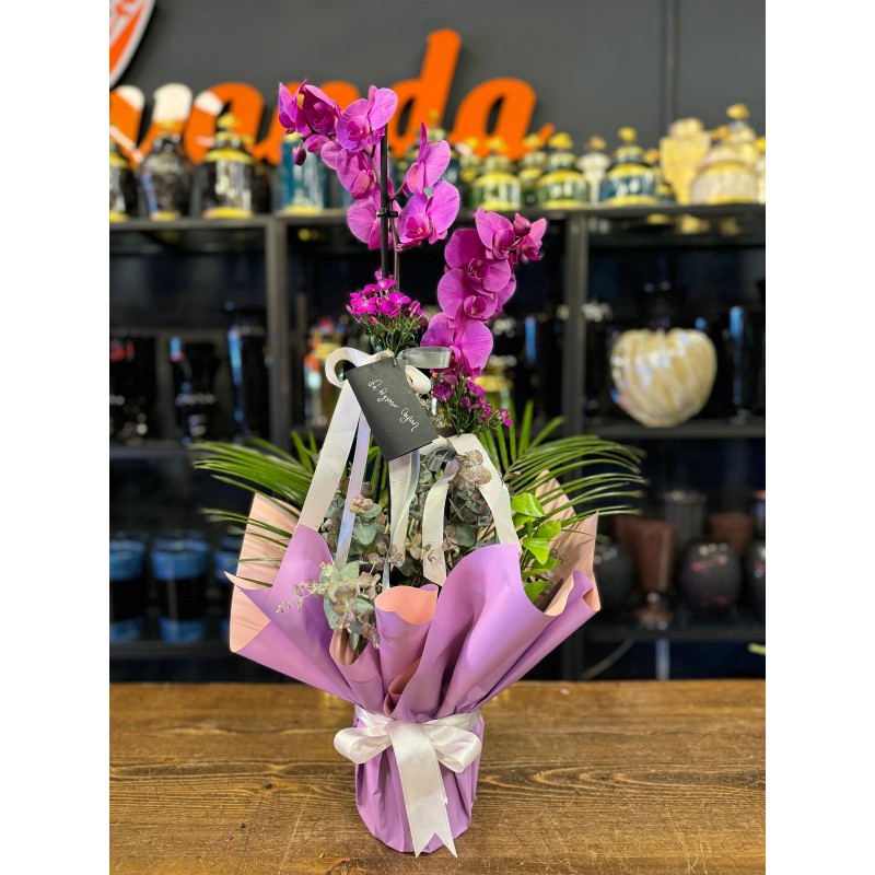 ÇİFT DALLI FUŞYA ORKİDE ARAJMANI