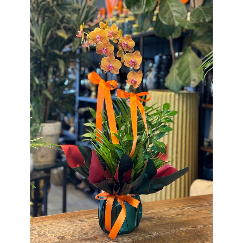 ÇİFT DALLI TURUNCU ORKİDE ARAJMANI