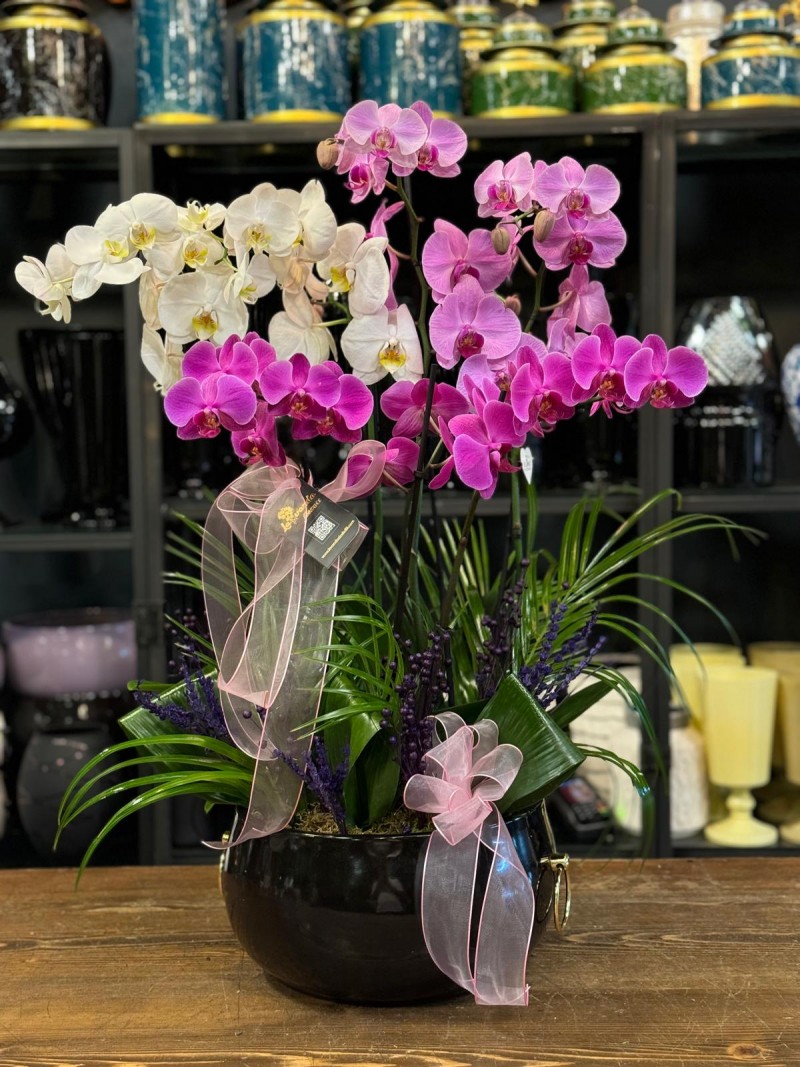 6 DALLI BEYAZ-PEMBE-FUŞYA ORKİDE ARAJMANI